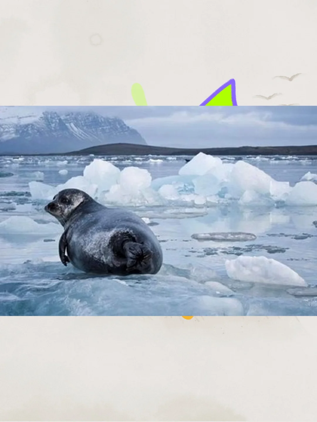 2025冰岛旅游攻略电子版自由行交通住宿