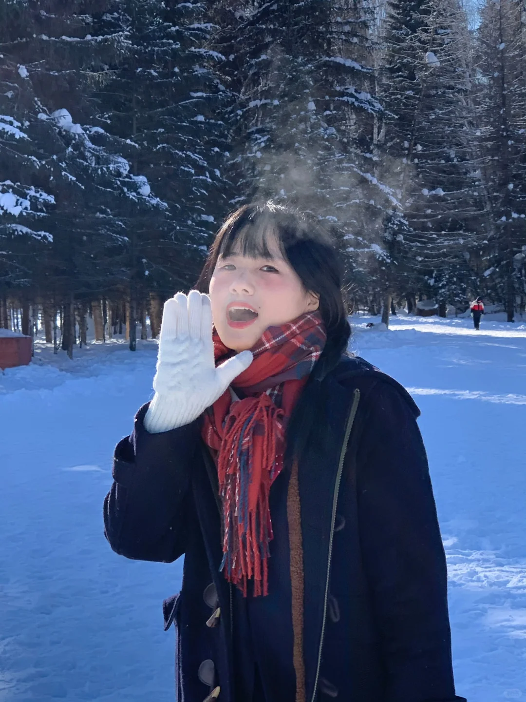 冬天阿勒泰旅游小记｜出片地点分享