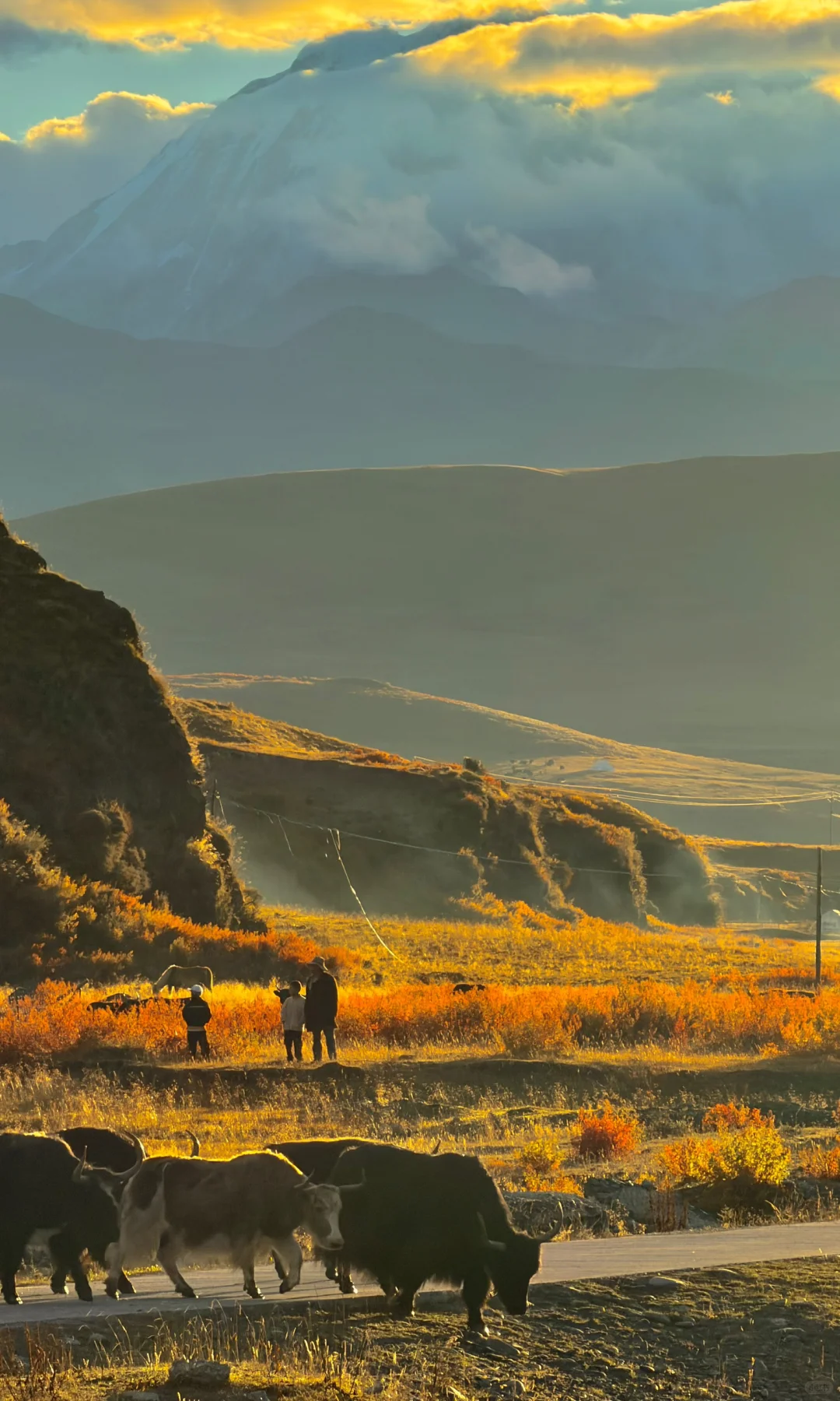 秋天川西第一天就这么美……后面该怎么办啊😭