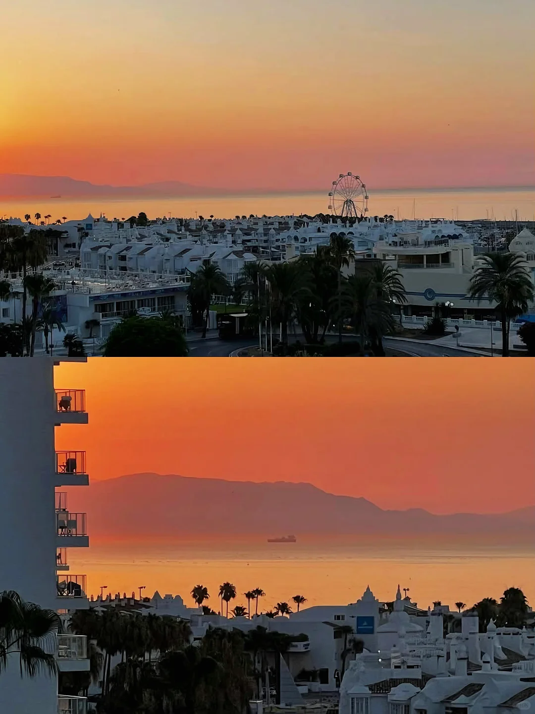 🍊这个秋冬去马拉加过橘子味的夏天！