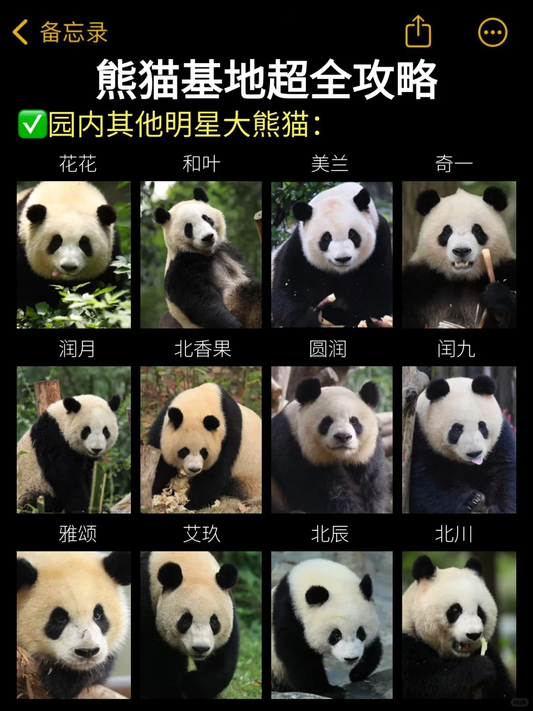 后悔‼️8-9月去熊猫基地🐼一定要做好攻略