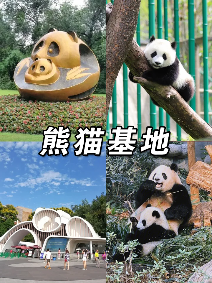 四川旅游怎么玩❓必去景点推荐🔥