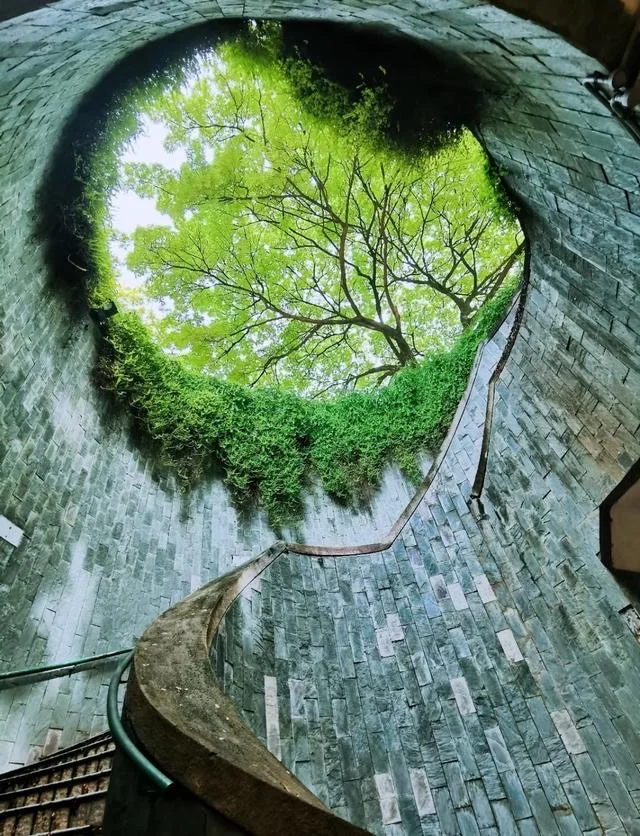 🇸🇬本地人都不想告诉你的10个免费景点!