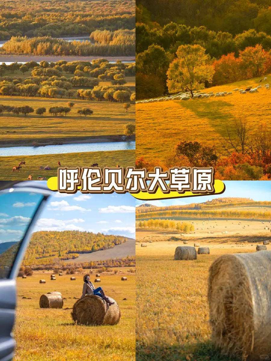 🍂内蒙古9大封神赏秋地！错过等一年