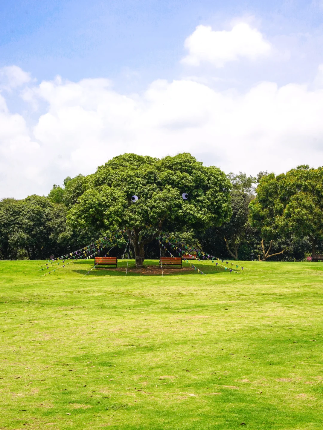 国庆反向游，深圳10个宝藏景点，人少景美免费