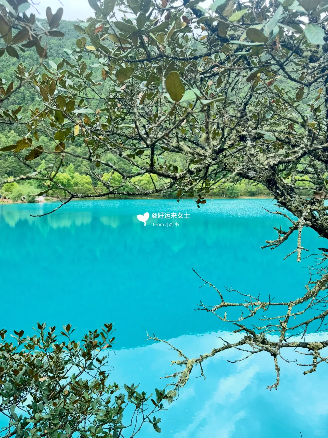 本J人对自己做的丽江攻略甚是满意🥹