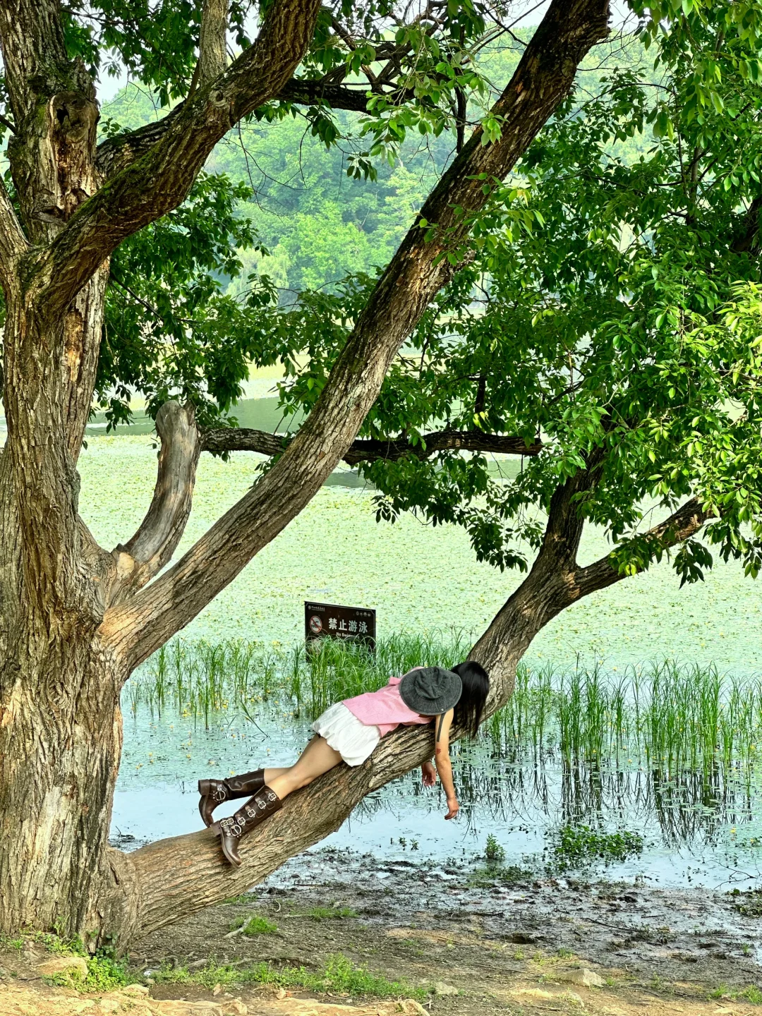 为了这1⃣️8⃣️张图，我飞了一趟南京！！！