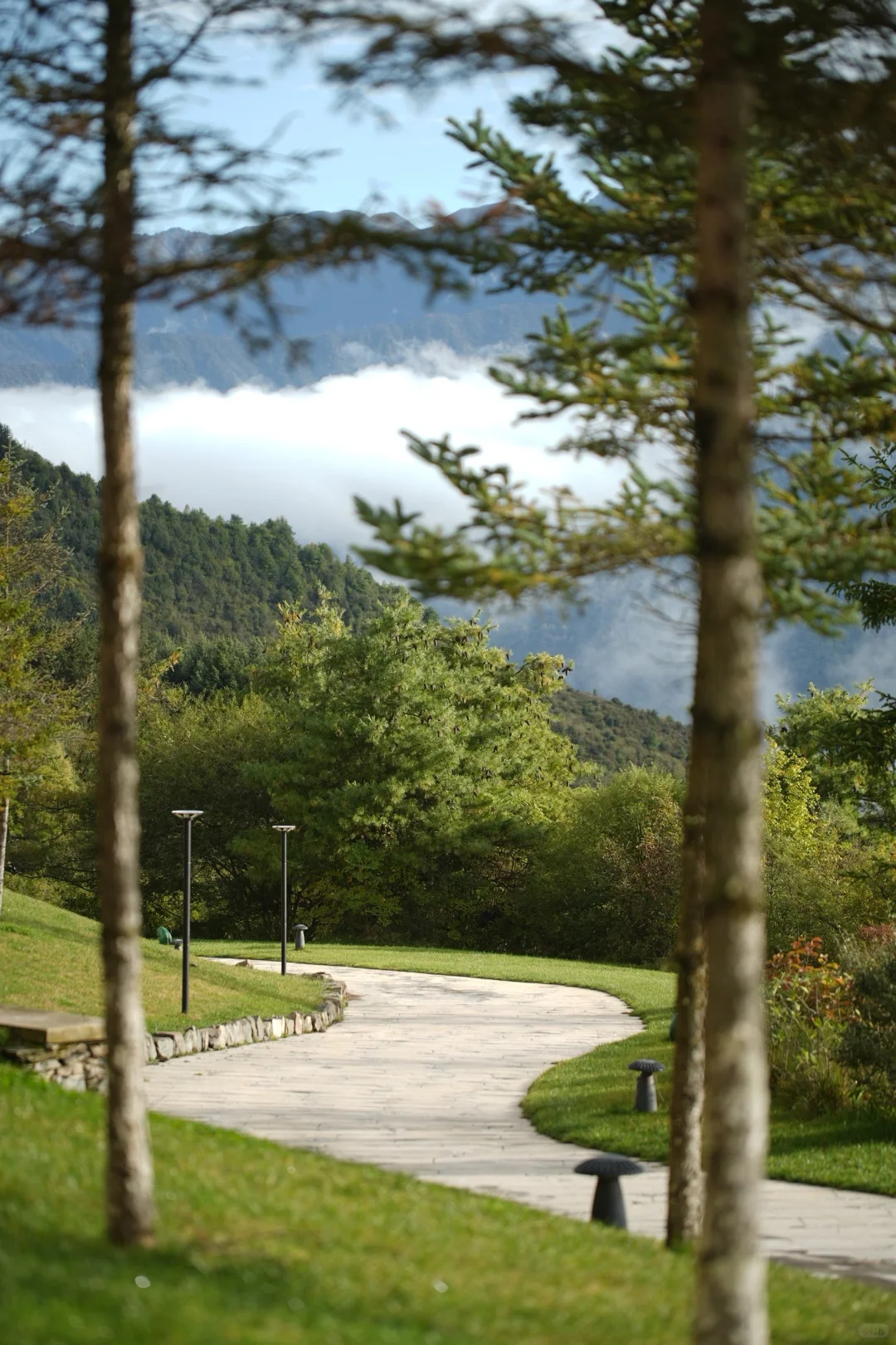 亲测90%的人都不知道的九寨沟新耍法