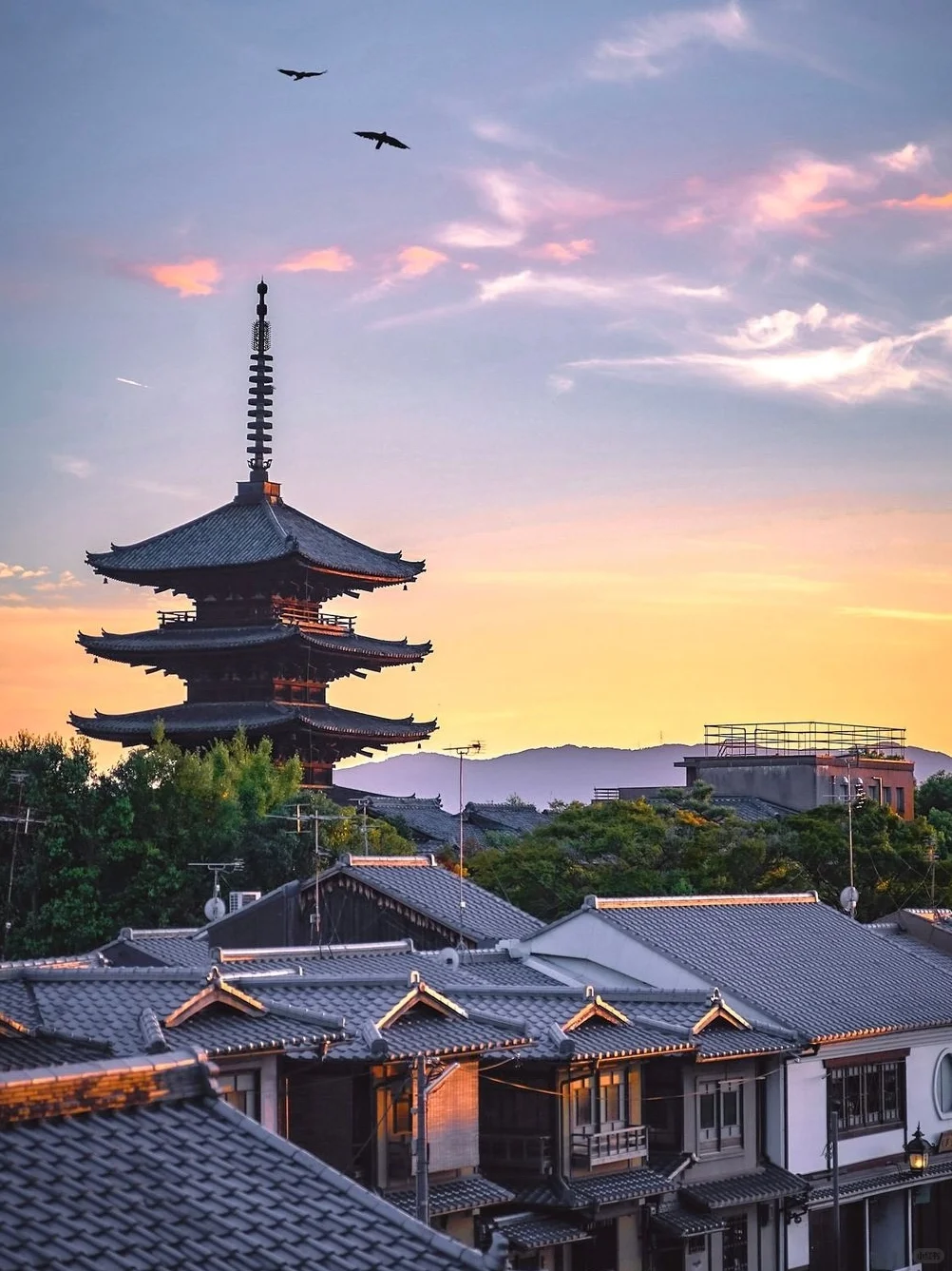 京都奈良轻松一日游攻略！🚗接送不暴走❗