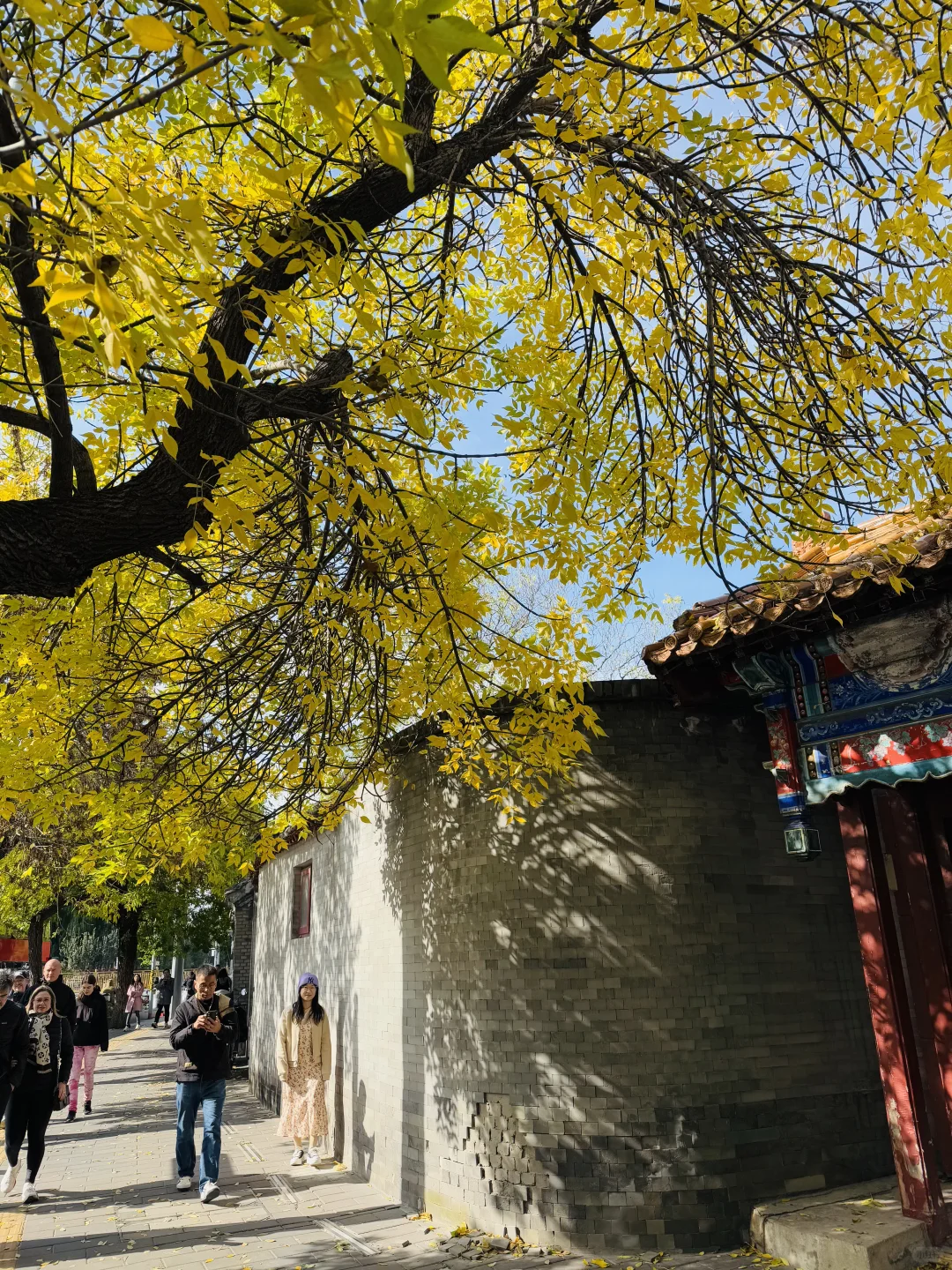 10.19实况🍂北京最新赏秋citywalk路线‼️