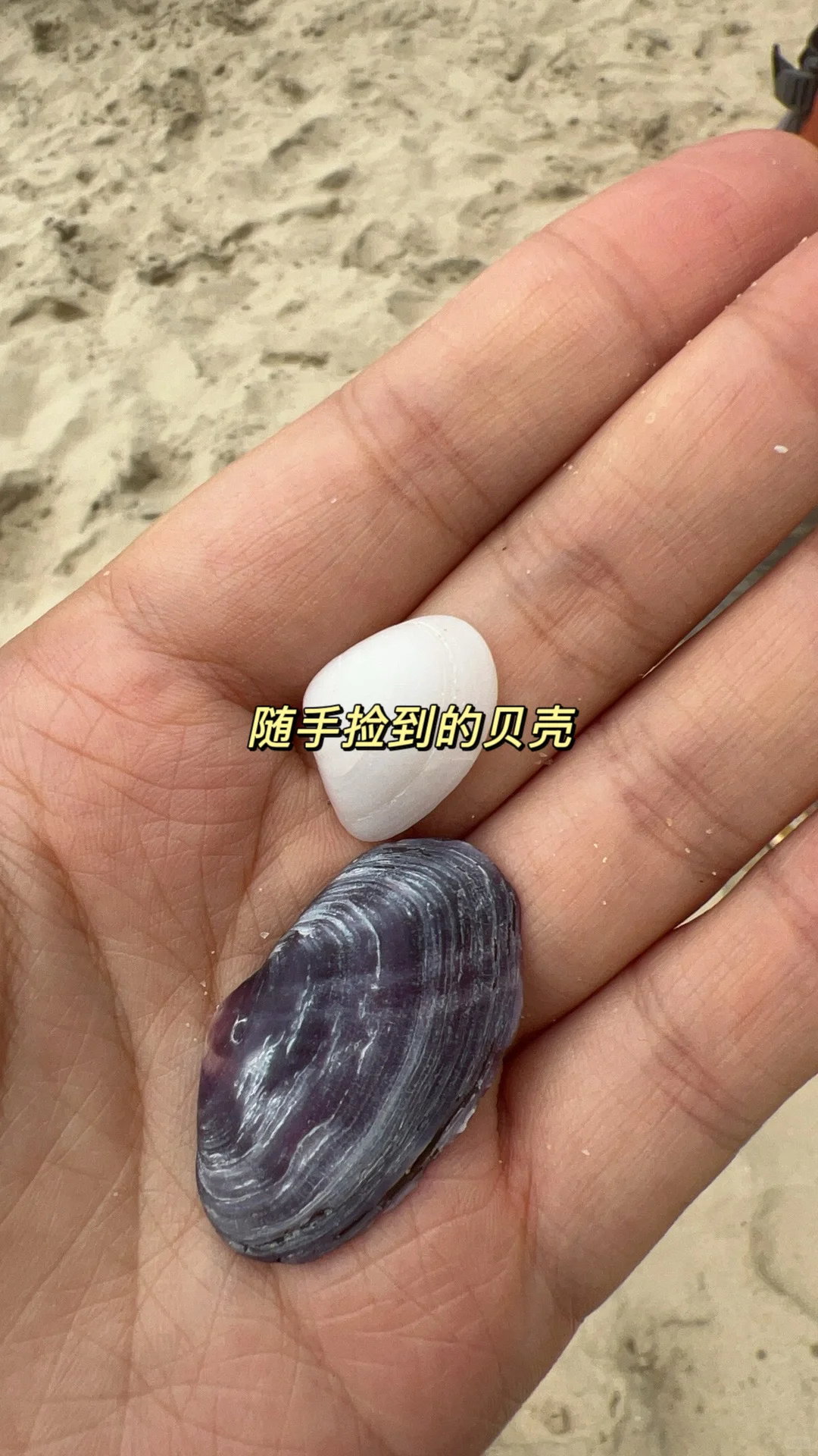 香港沉浸式回忆录&旅游攻略