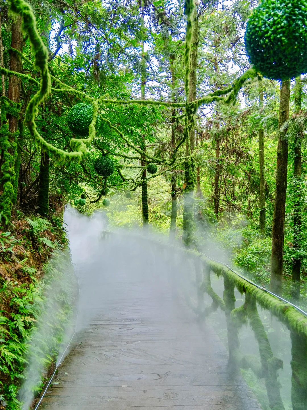 小红书跟风成功的一次‼️浙江冷门仙山好震撼