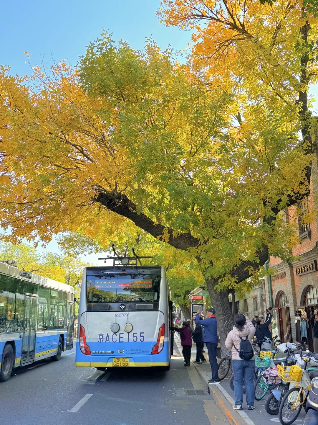 10.19实况🍂北京最新赏秋citywalk路线‼️