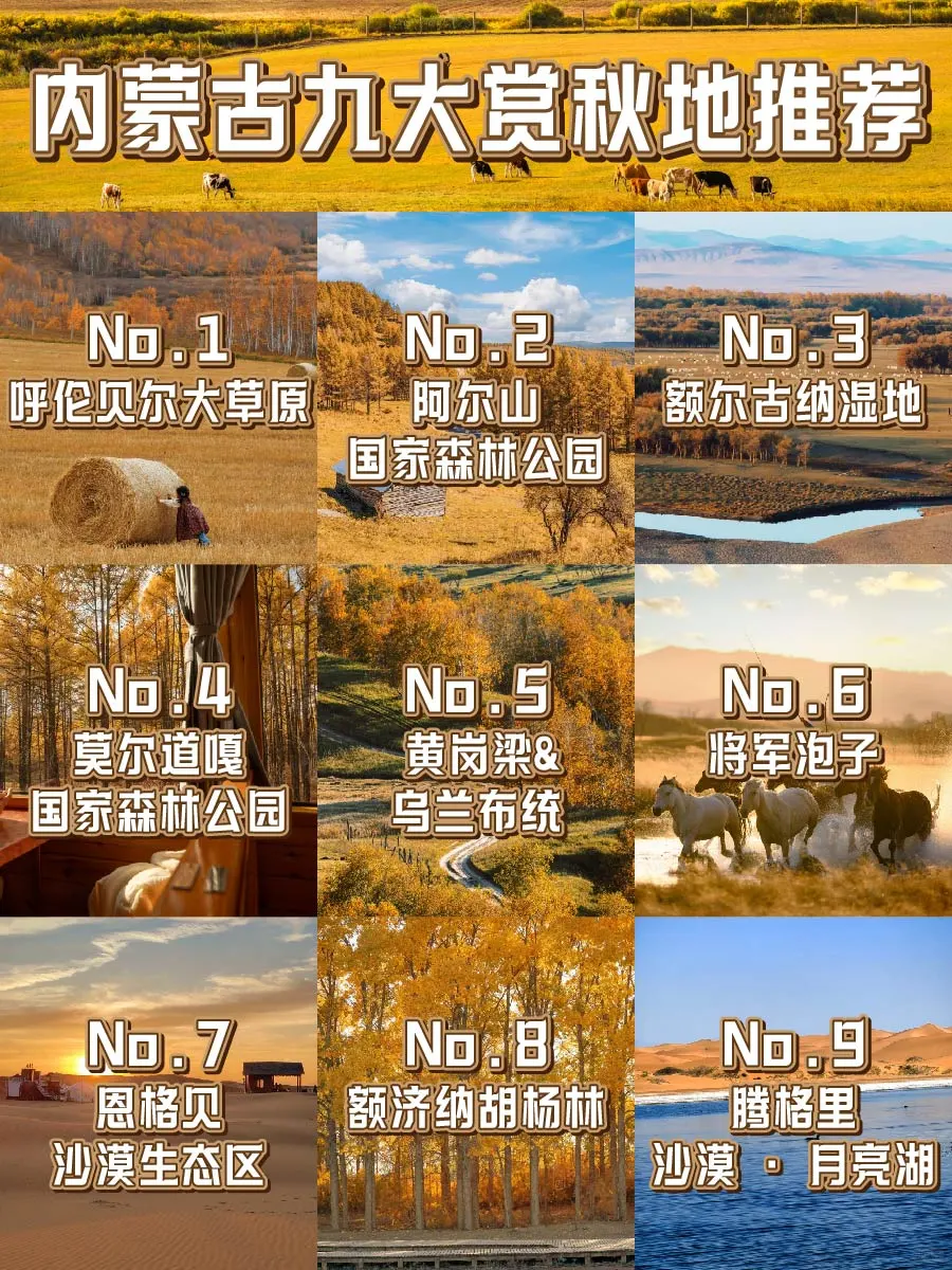 🍂内蒙古9大封神赏秋地！错过等一年