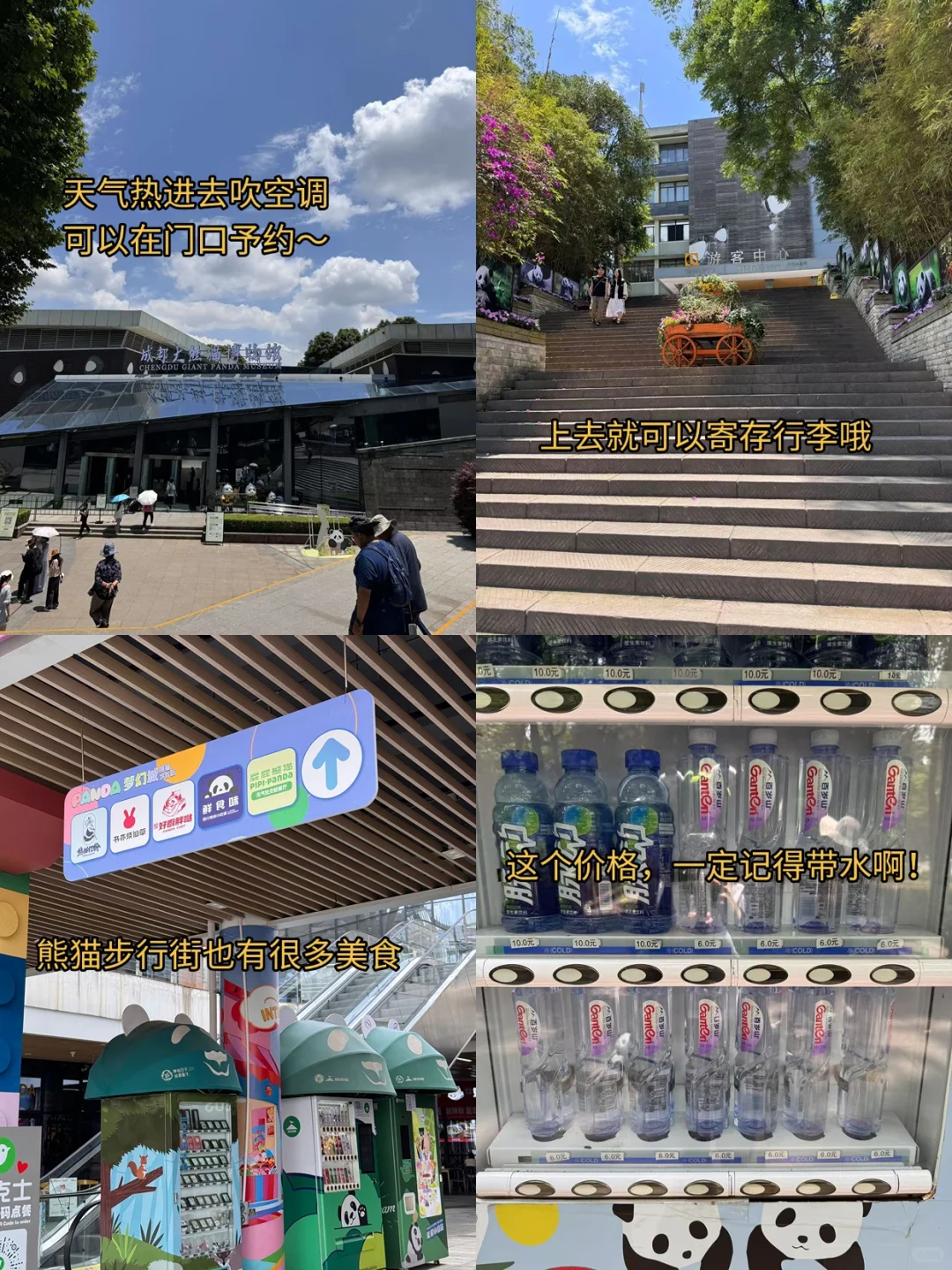 后悔‼️8-9月去熊猫基地🐼一定要做好攻略