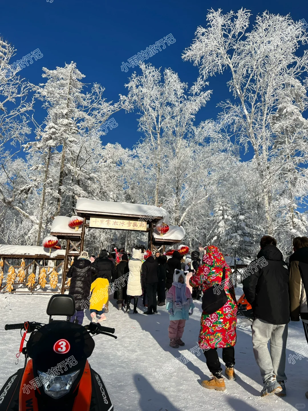 冰雪画廊景区导览图📍