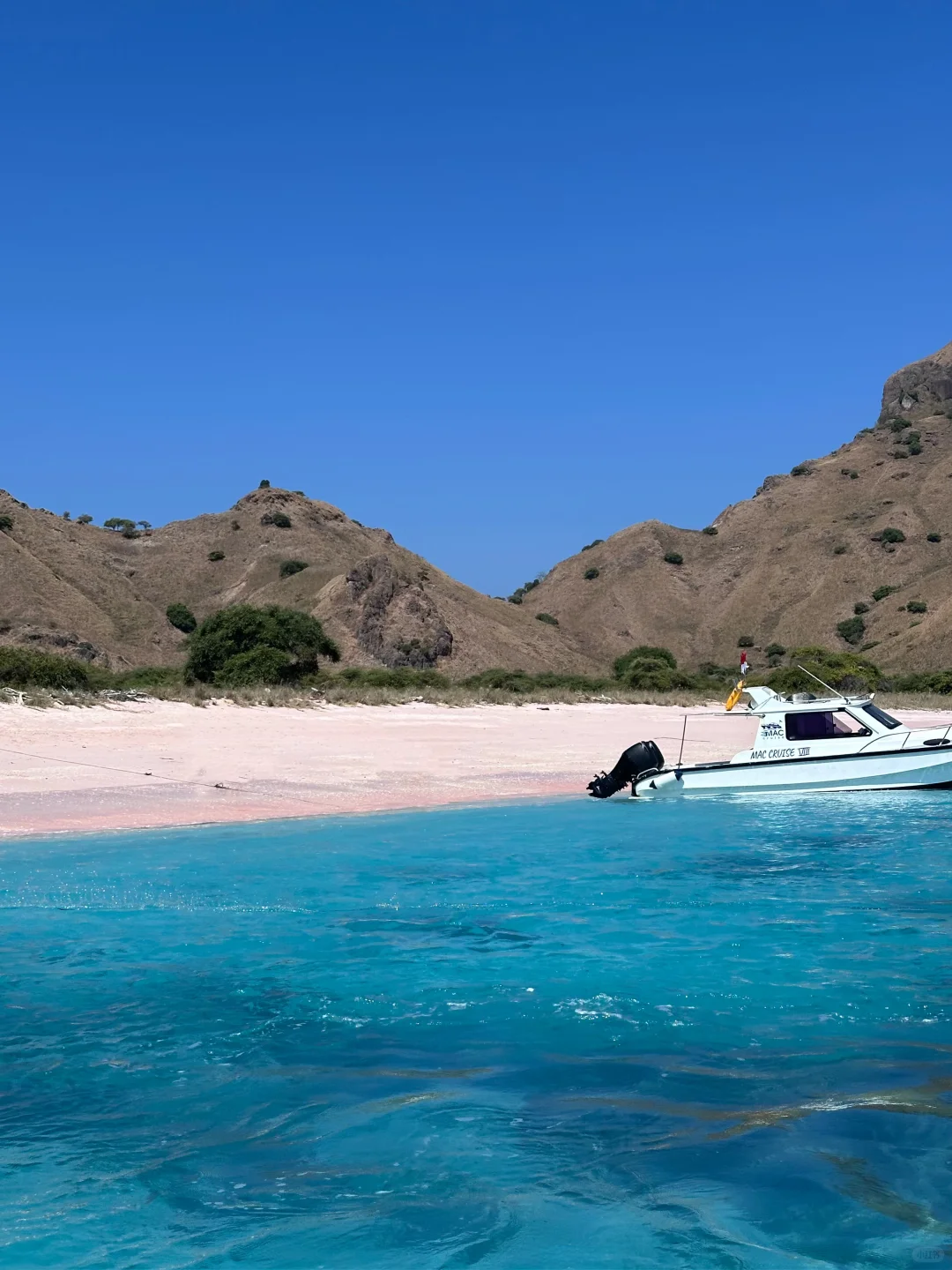 Bromo➕科莫多➕ 巴厘岛八天梦幻行程