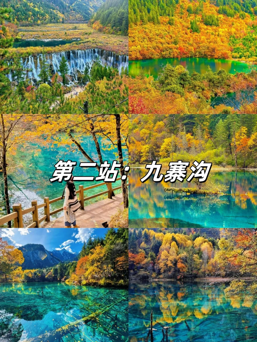 重庆成都九寨沟超轻松Family trip!🔥