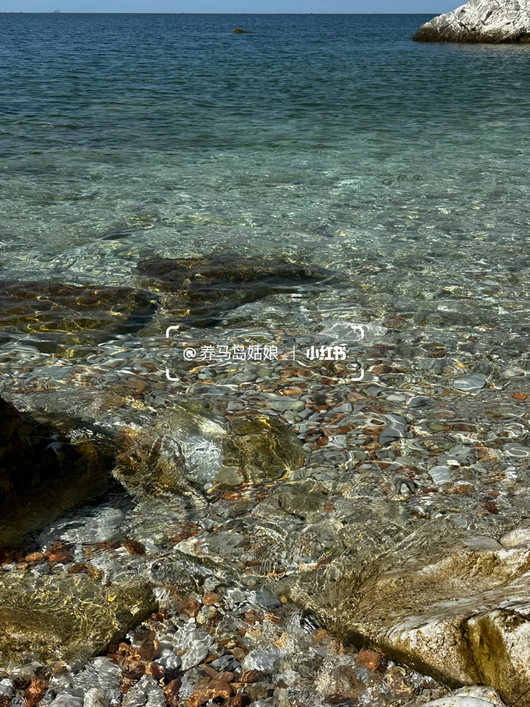 10.30养马岛天气多云☁️8-18度早晚温差大‼️