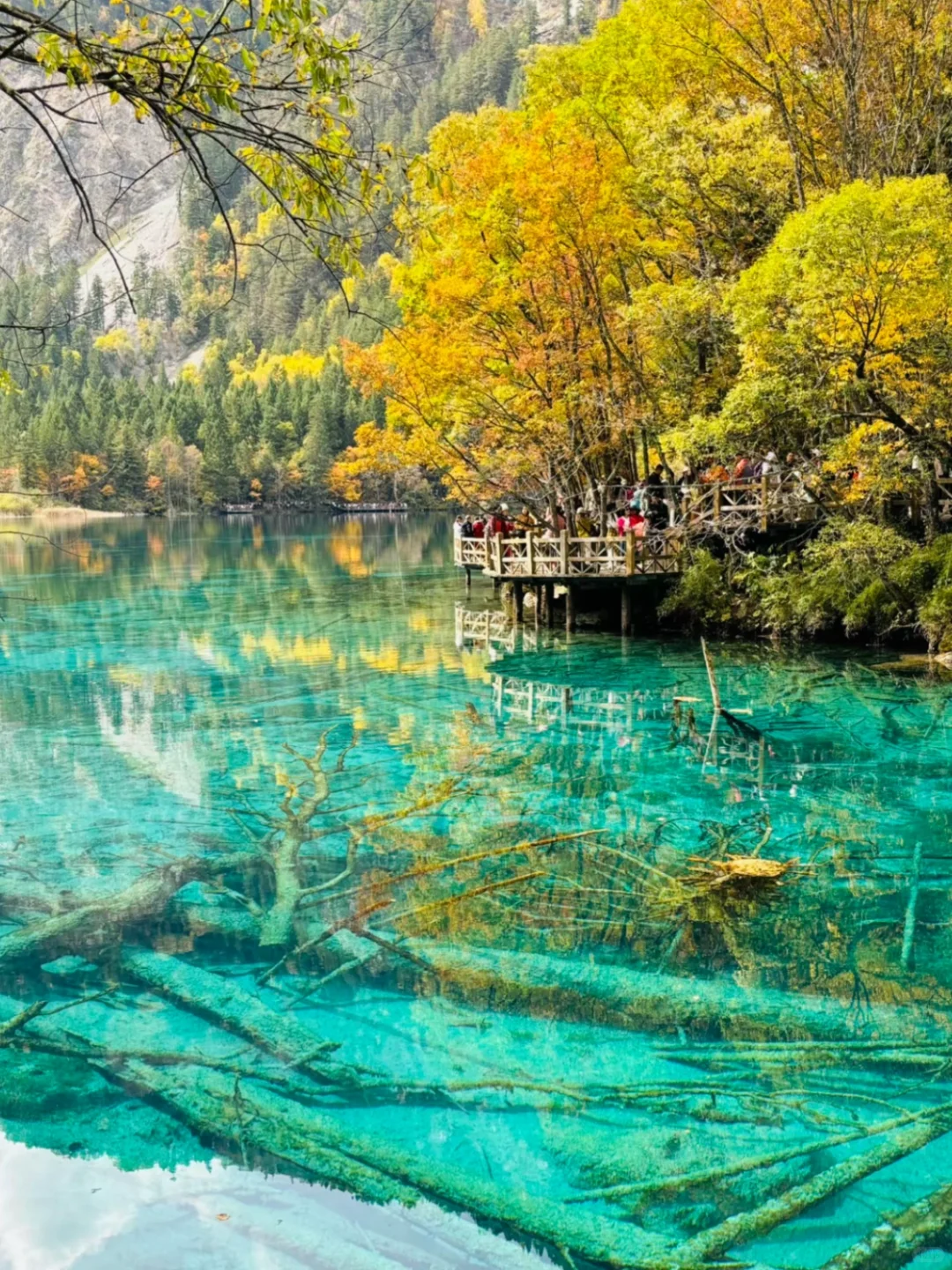 10-11月国内遛娃赏秋🍁不容错过的9大天花板