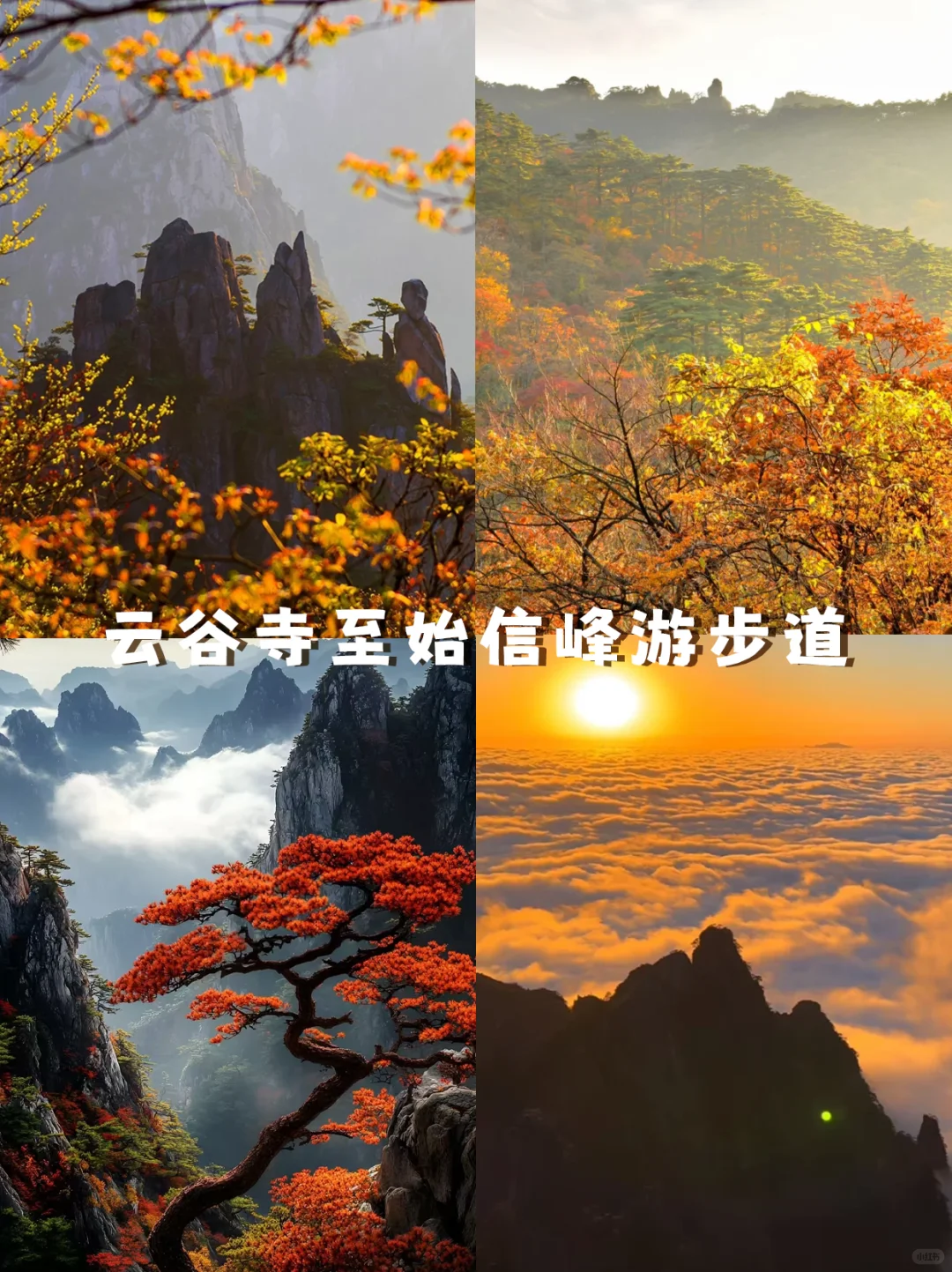 9-11月的皖南，藏着中国最美的秋天🍁