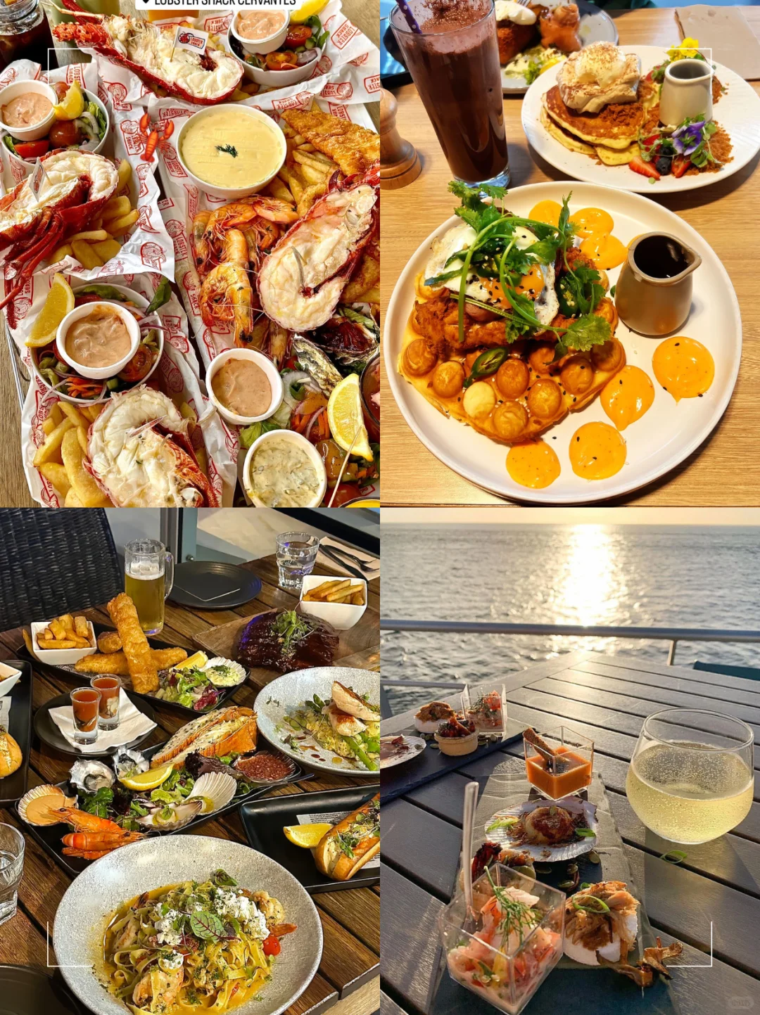 带全家旅行去了澳大利亚和新西兰…先说结论