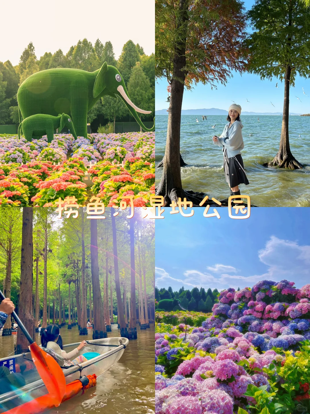 昆明9大宝藏地,会反复溜娃的9个地方✨