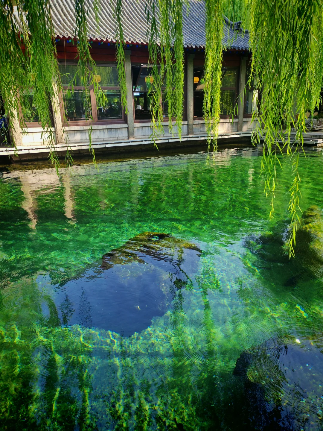 去之前不期待但后劲很大的城市｜看泉一日游