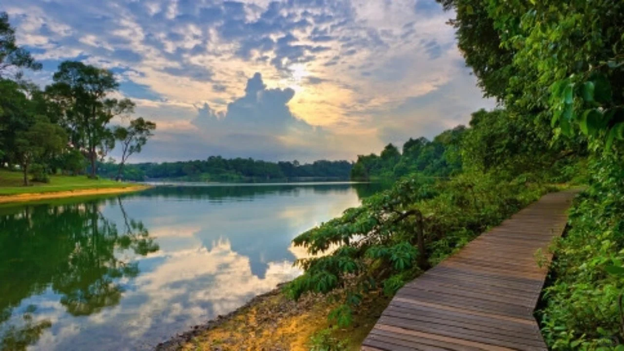 🇸🇬本地人都不想告诉你的10个免费景点!