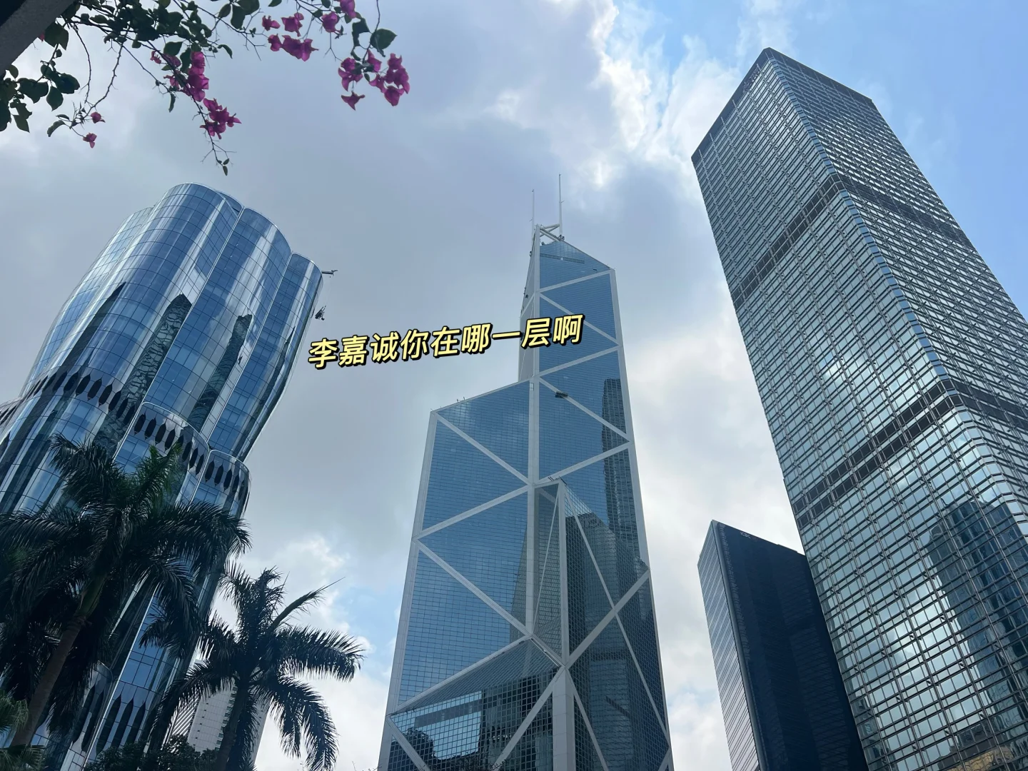 香港沉浸式回忆录&旅游攻略