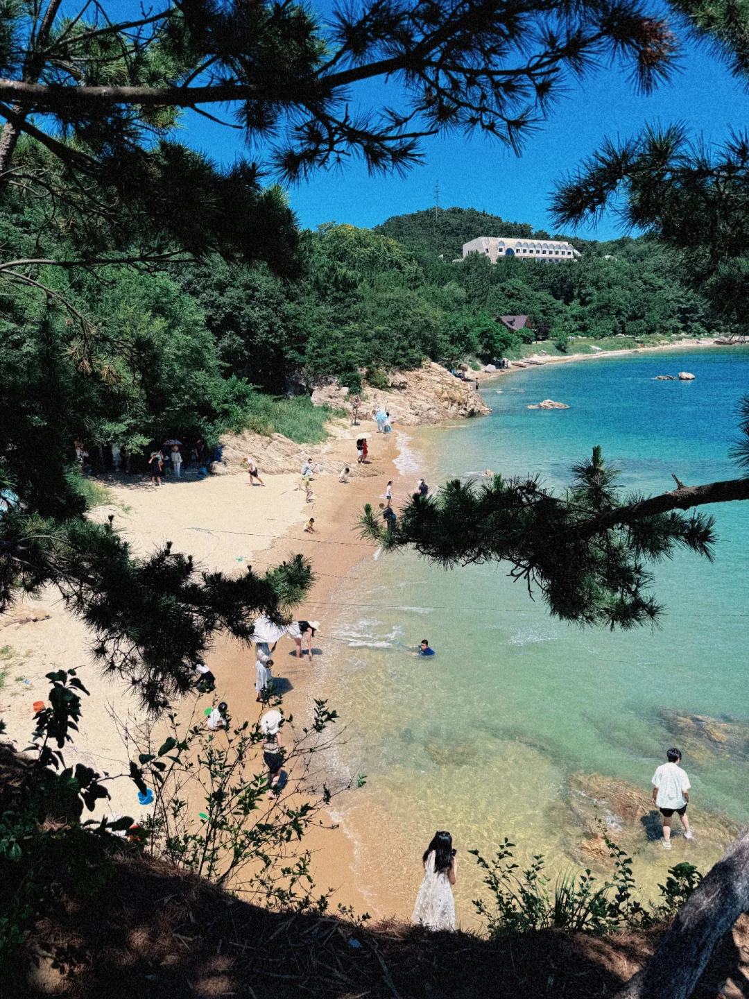 去什么火炬八街，来这里不香嘛？