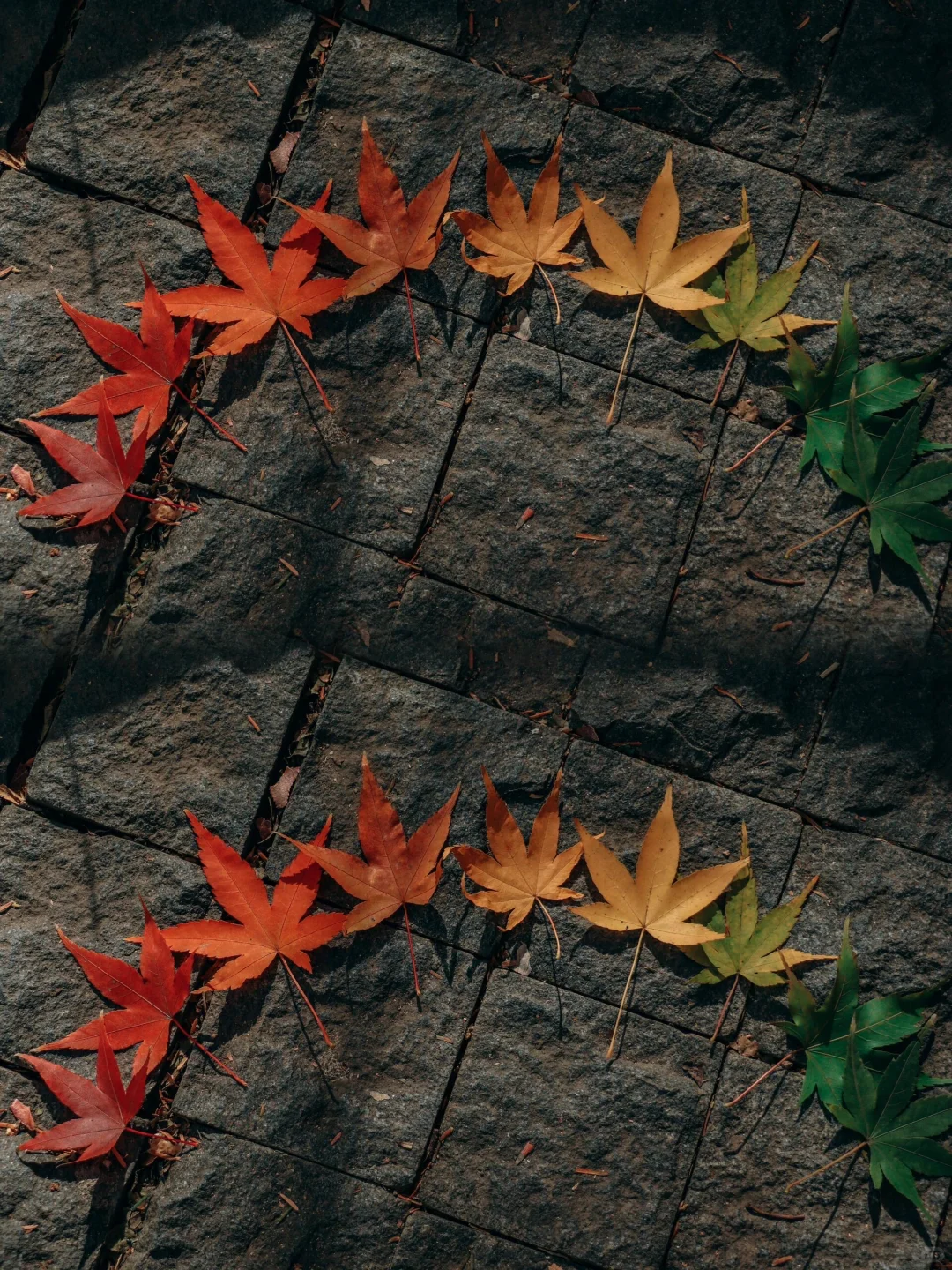 接下来南京栖霞山，将是国内赏秋天花板！