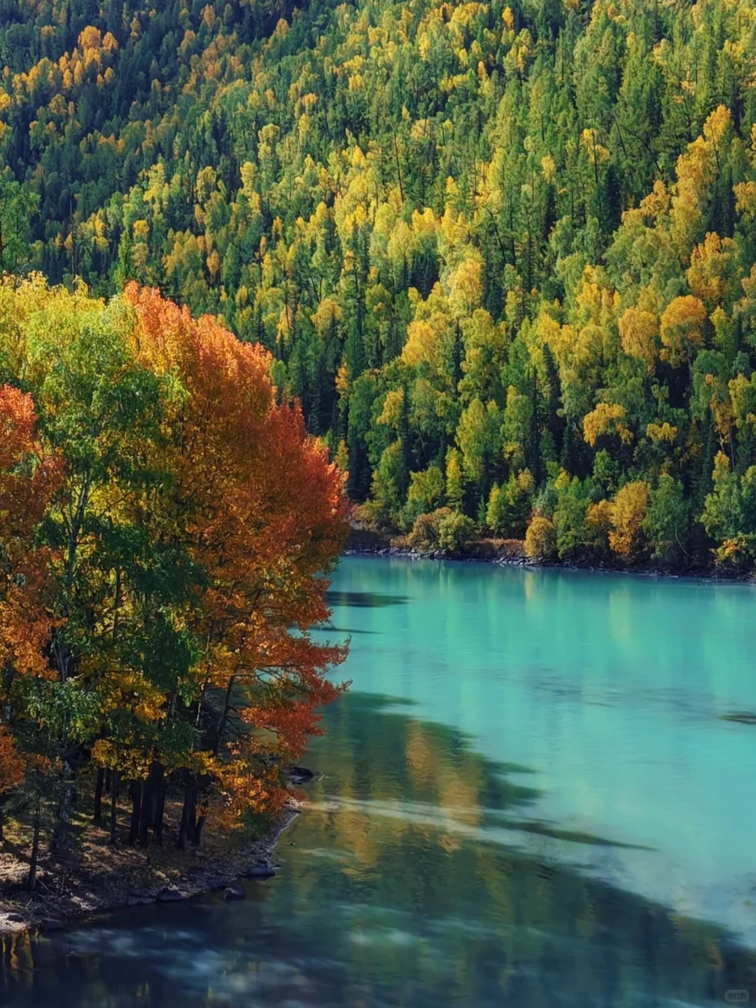 10-11月国内遛娃赏秋🍁不容错过的9大天花板