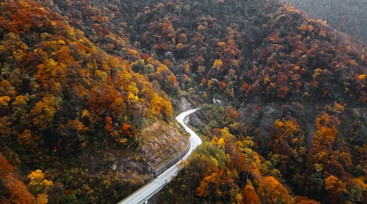 2025神农架赏秋最佳时间