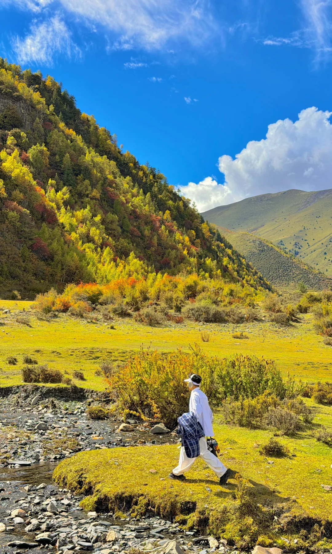 秋天川西第一天就这么美……后面该怎么办啊😭