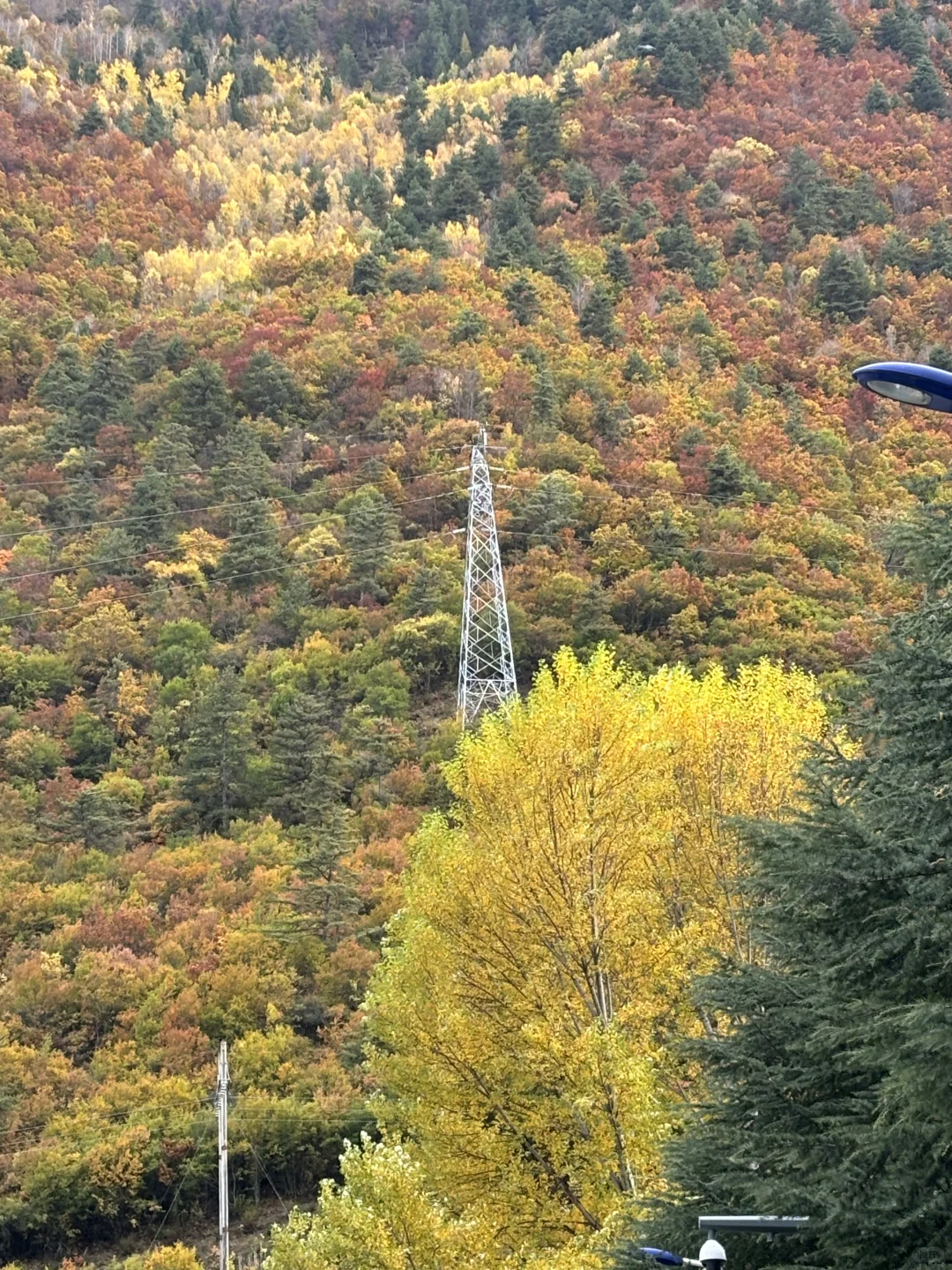 三天两夜九寨沟+黄龙旅游攻略 彩林季🍂