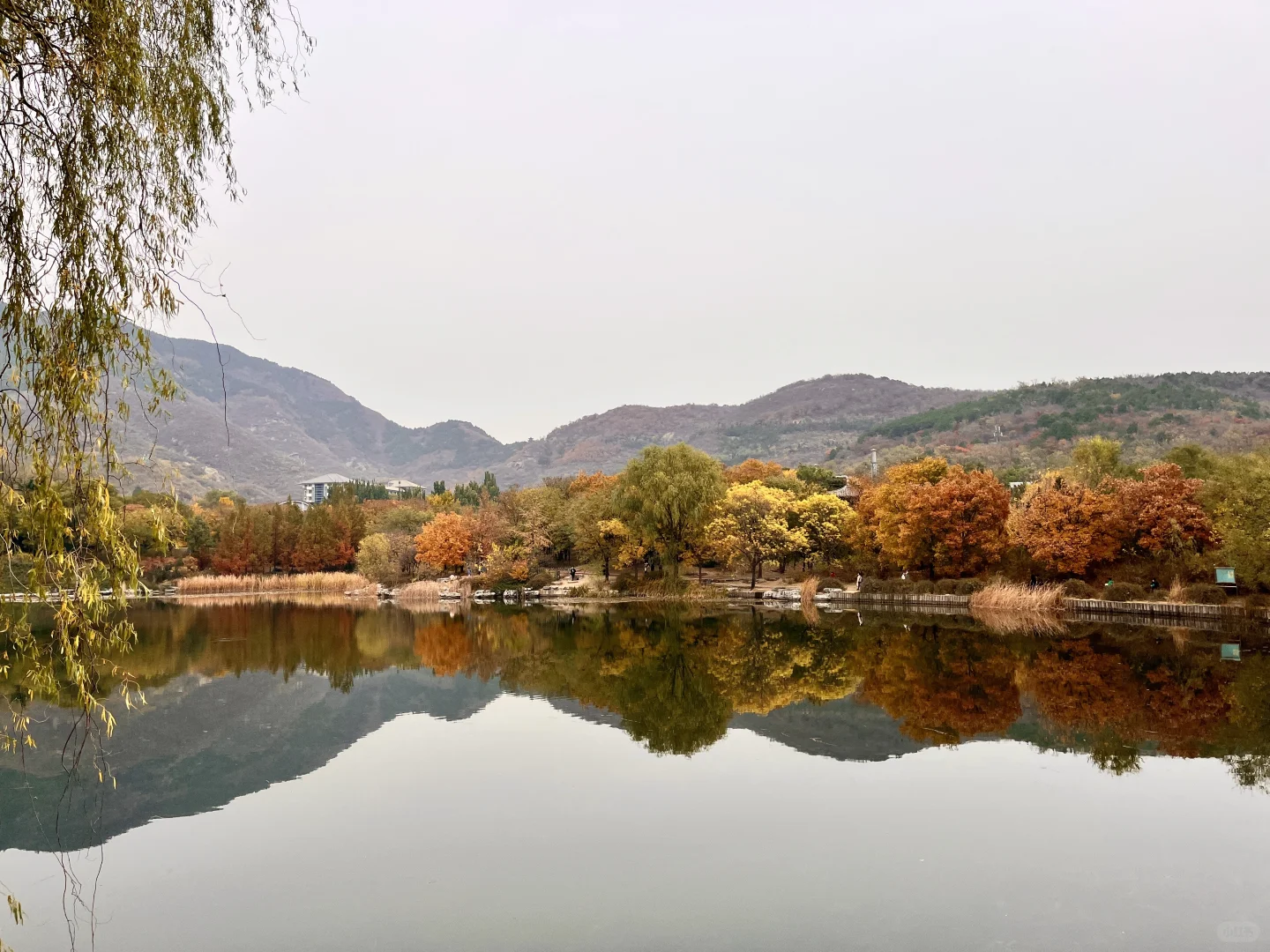 北京，我最推荐的三个公园！