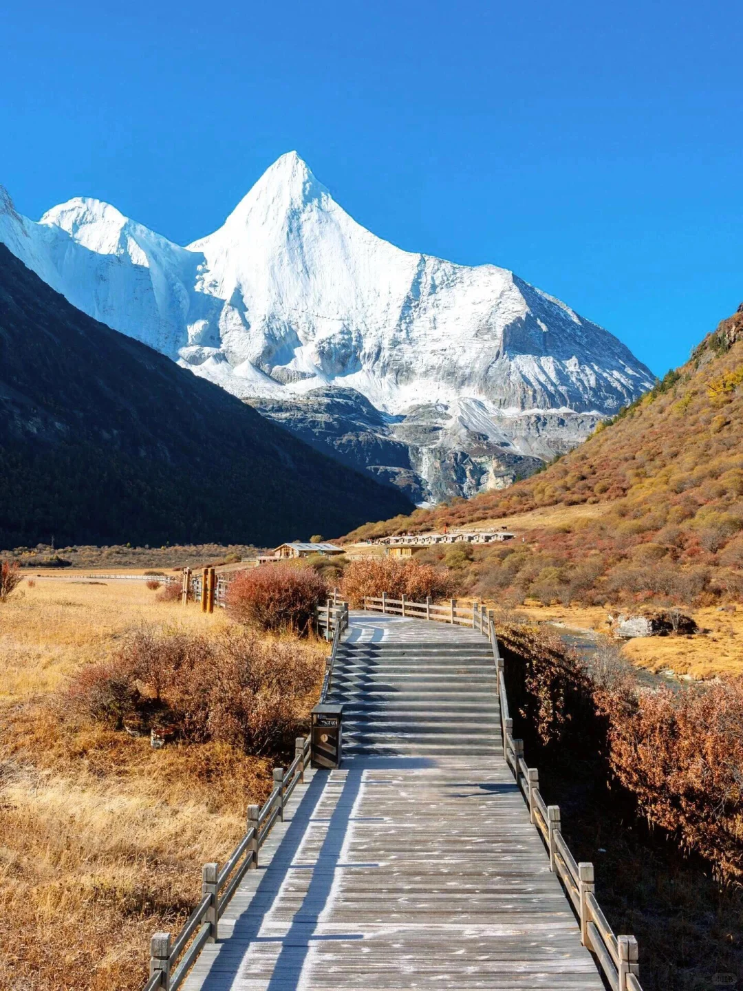 10.20📍川西现状，真心提醒未出行的😭.