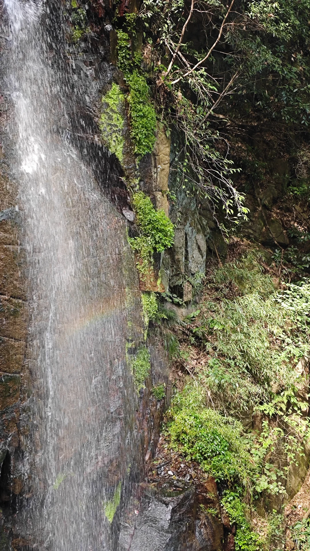 莫干山古道丨秋日满分选择