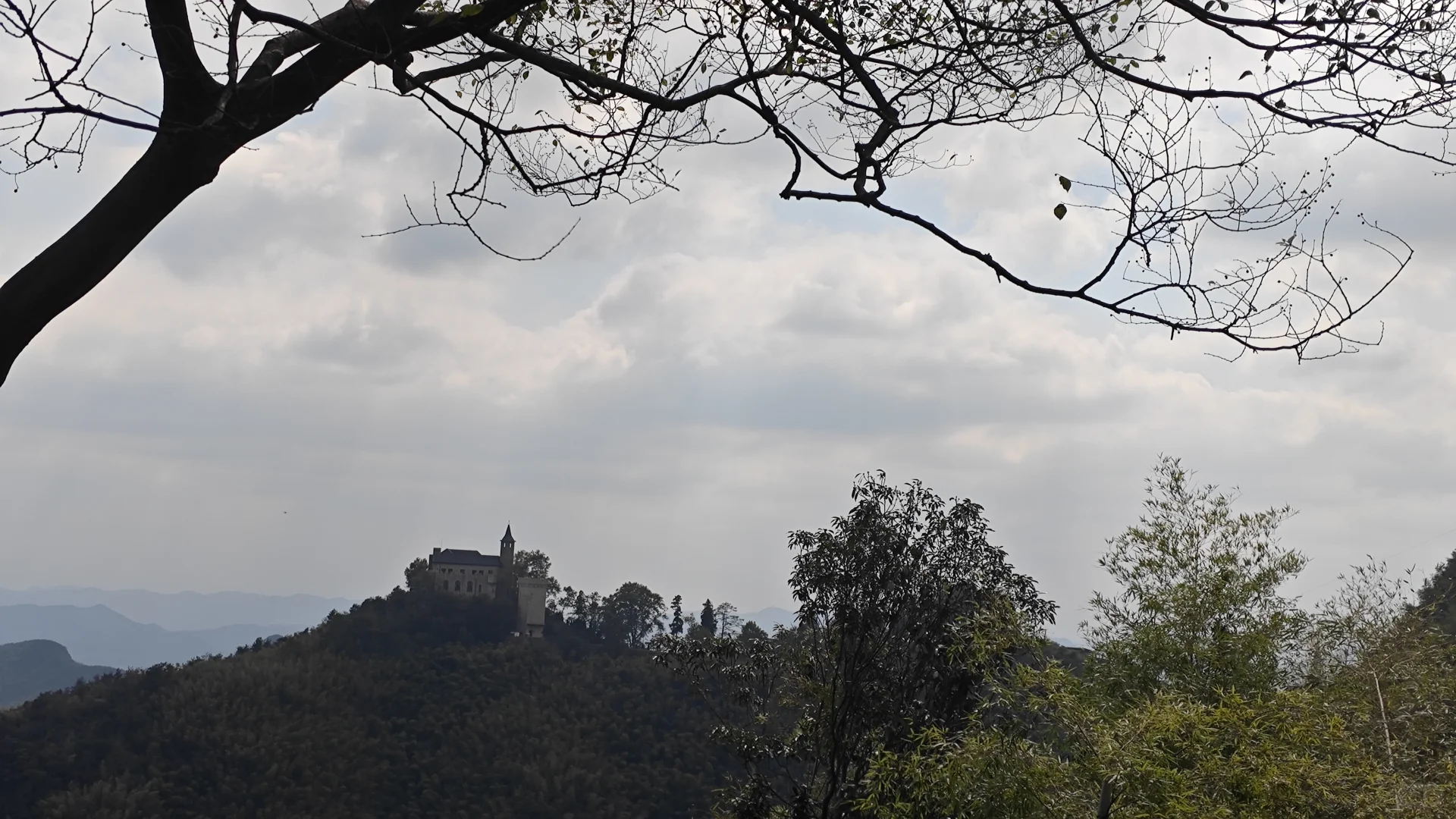 莫干山古道丨秋日满分选择
