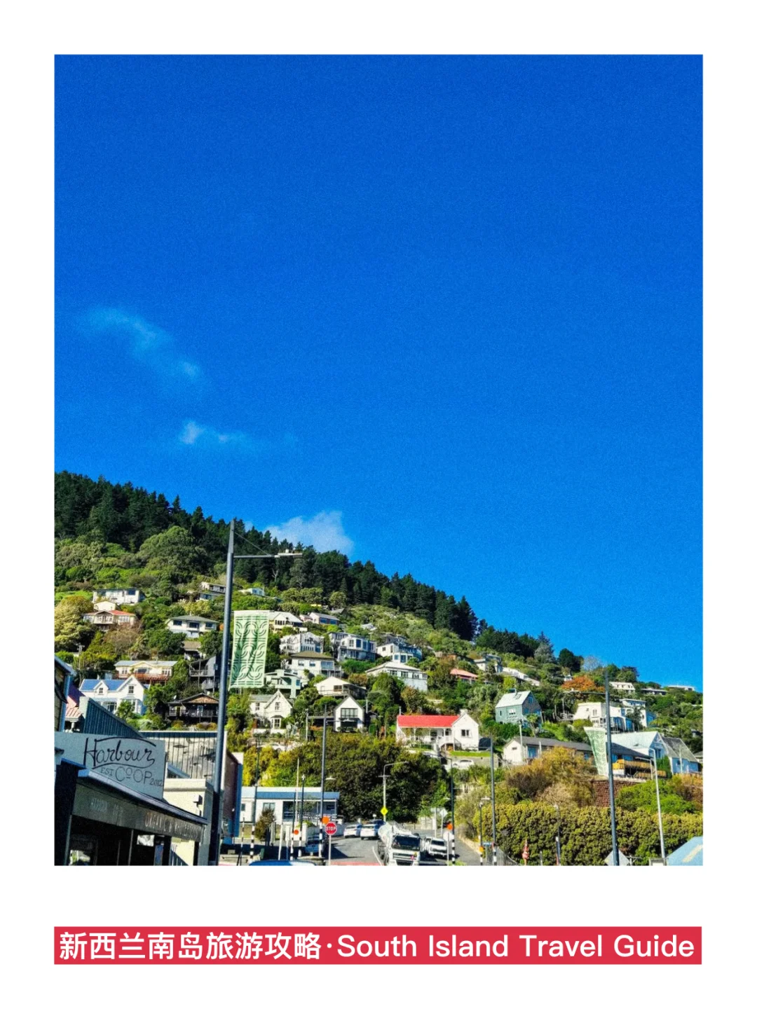 紫人做的新西兰旅游攻略❗️环南岛一篇通关