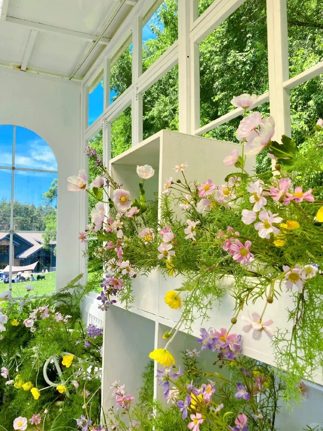 被称为 “北方明珠” 的净月潭