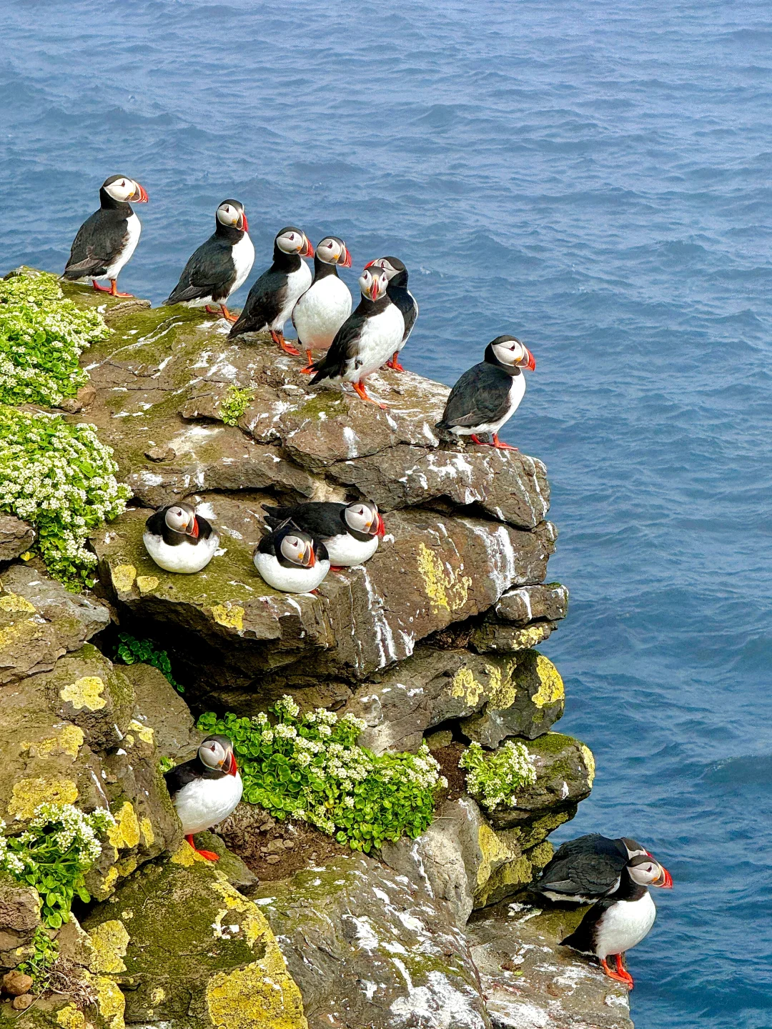 你可能不认识我，但也许看过我拍的live冰岛