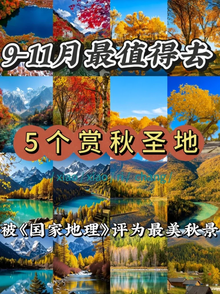国家地理认证！9 - 11月国内5大赏秋天花版