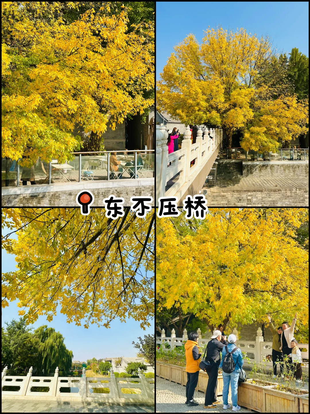 官宣❗️北京赏秋前三city walk路线出炉‼️
