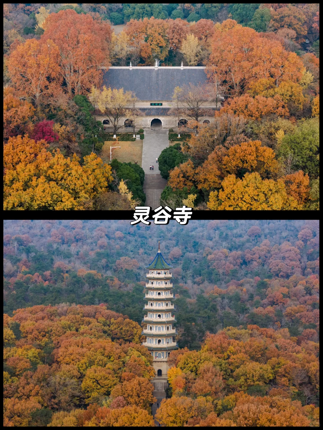 南京的秋天很绝，收好这15个机位拍到手软