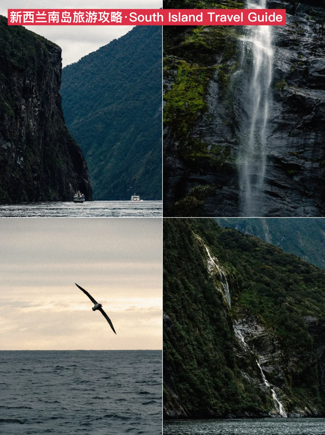 紫人做的新西兰旅游攻略❗️环南岛一篇通关