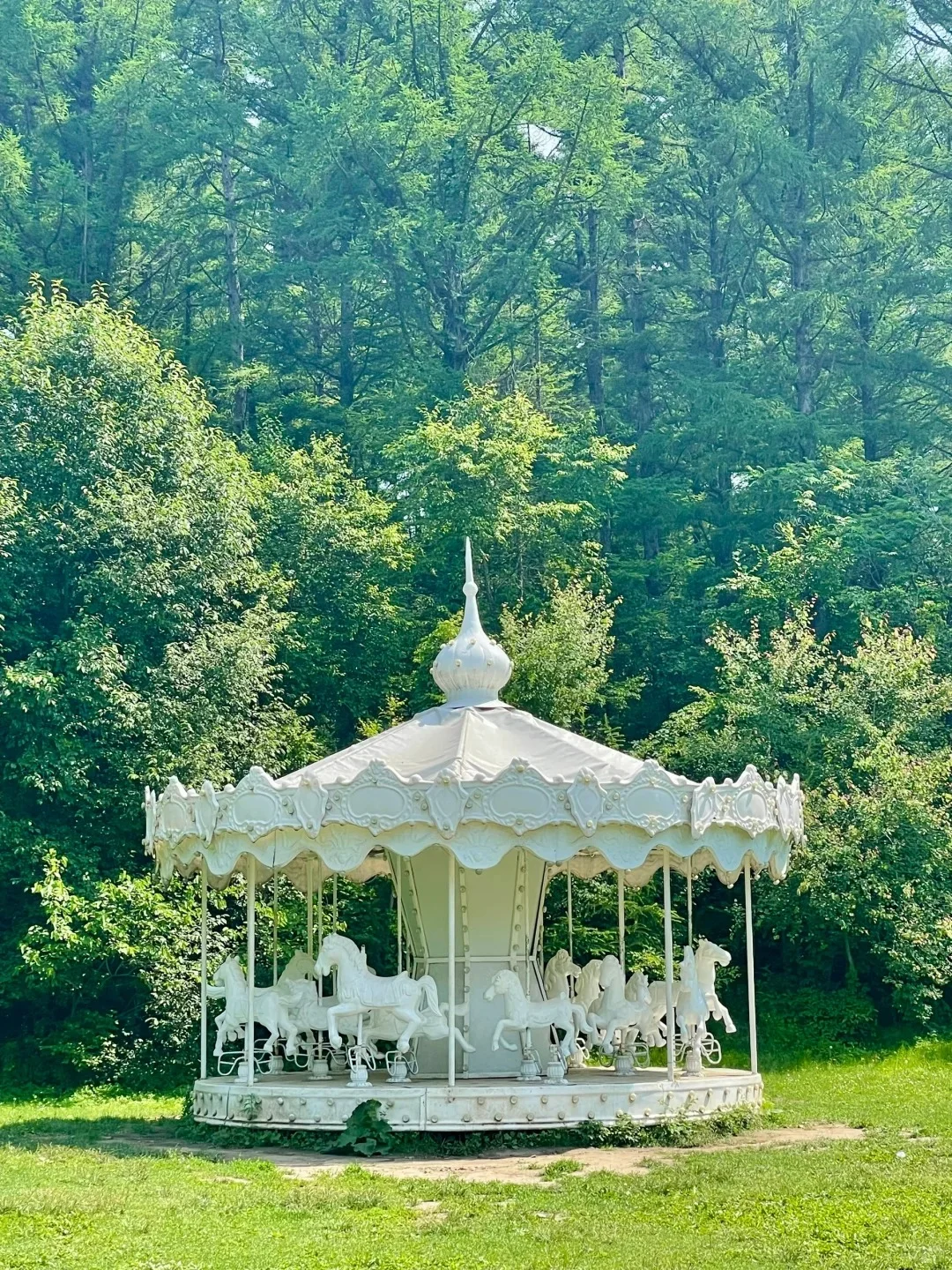 被称为 “北方明珠” 的净月潭