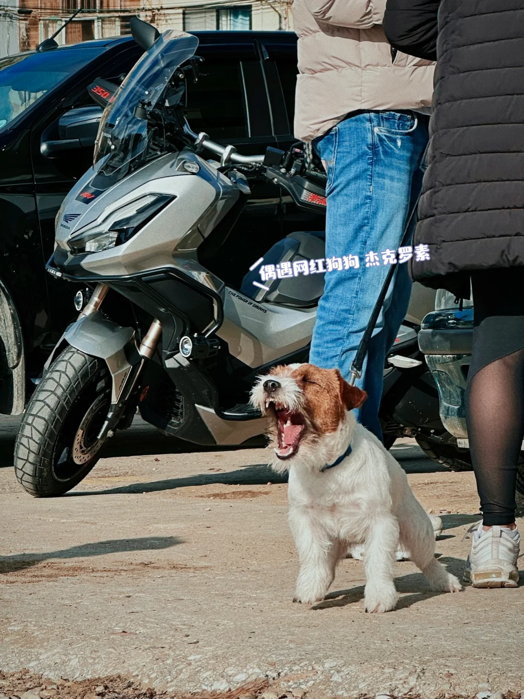 ✨ Day1-2 | 马耳他跨年攻略⬆️：初遇地中海蓝