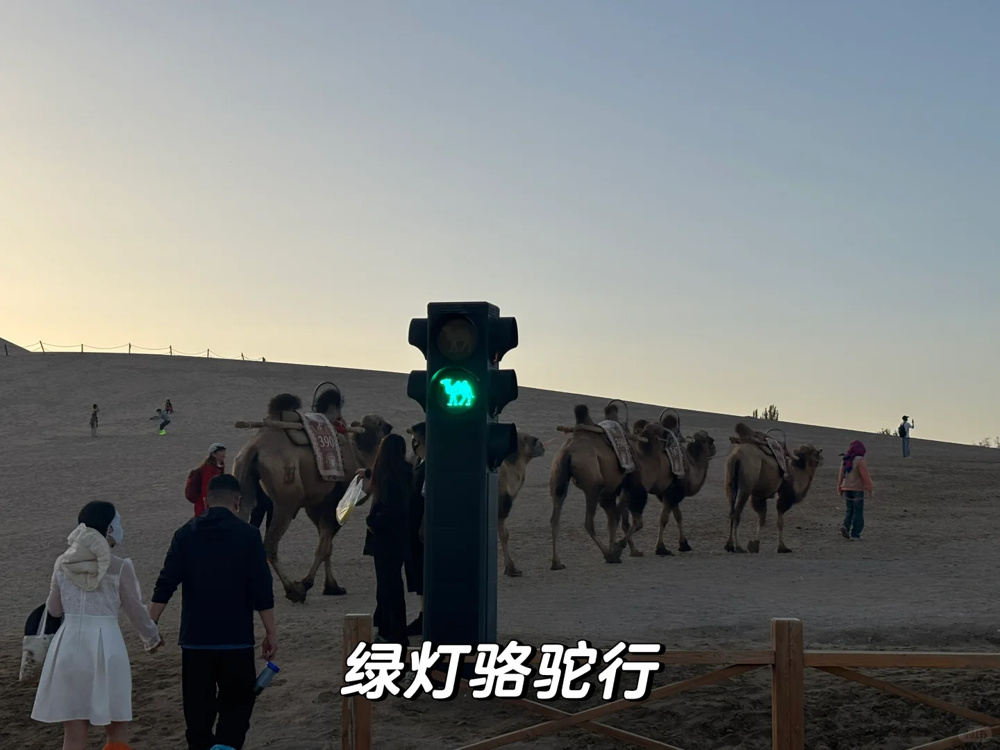 兰州-张掖-敦煌：女生一人河西走廊七日行